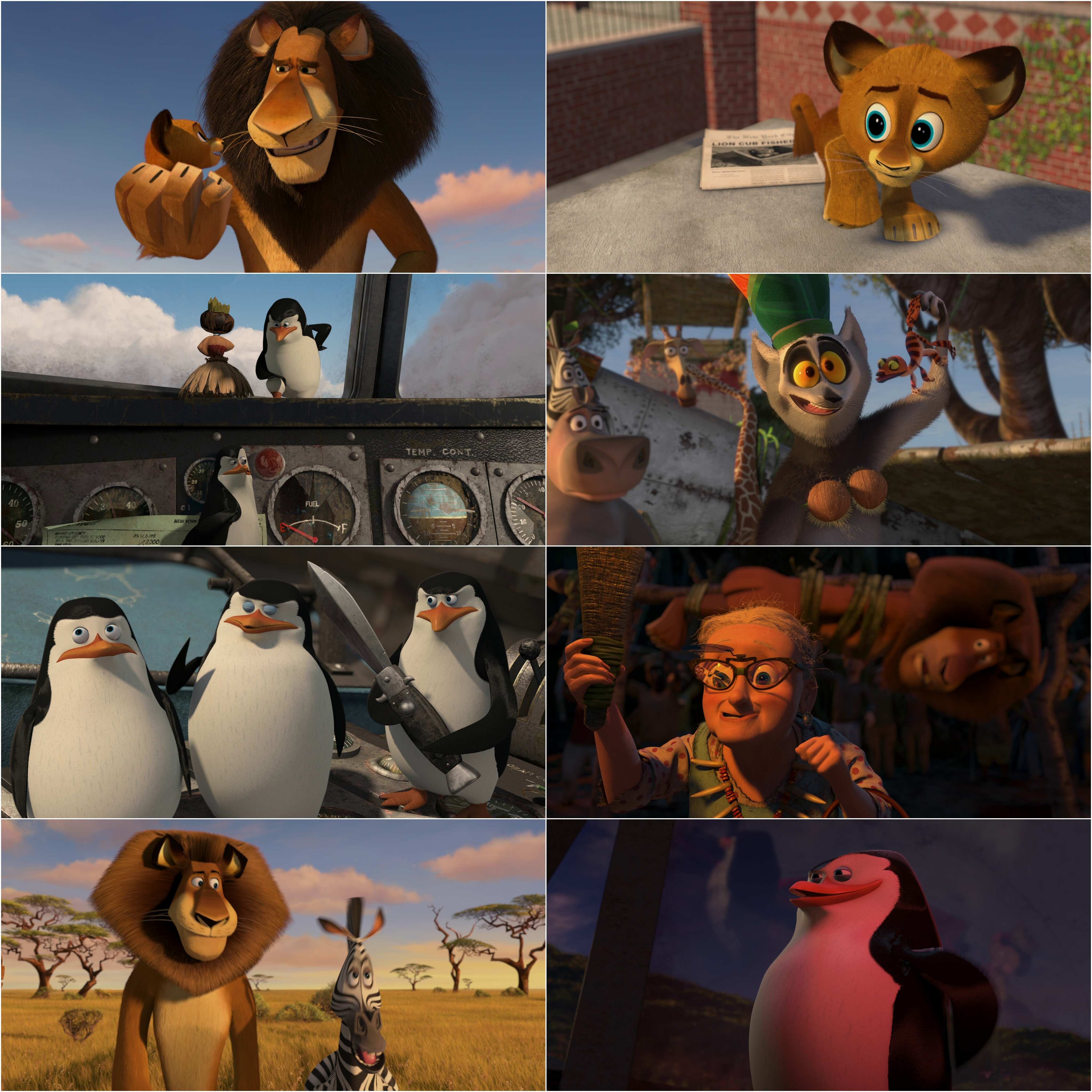 Madagascar 2 - Escape 2 Africa (2008) (Hindi + English) Dual Audio Animated Movie BluRay HD ESub Screenshot