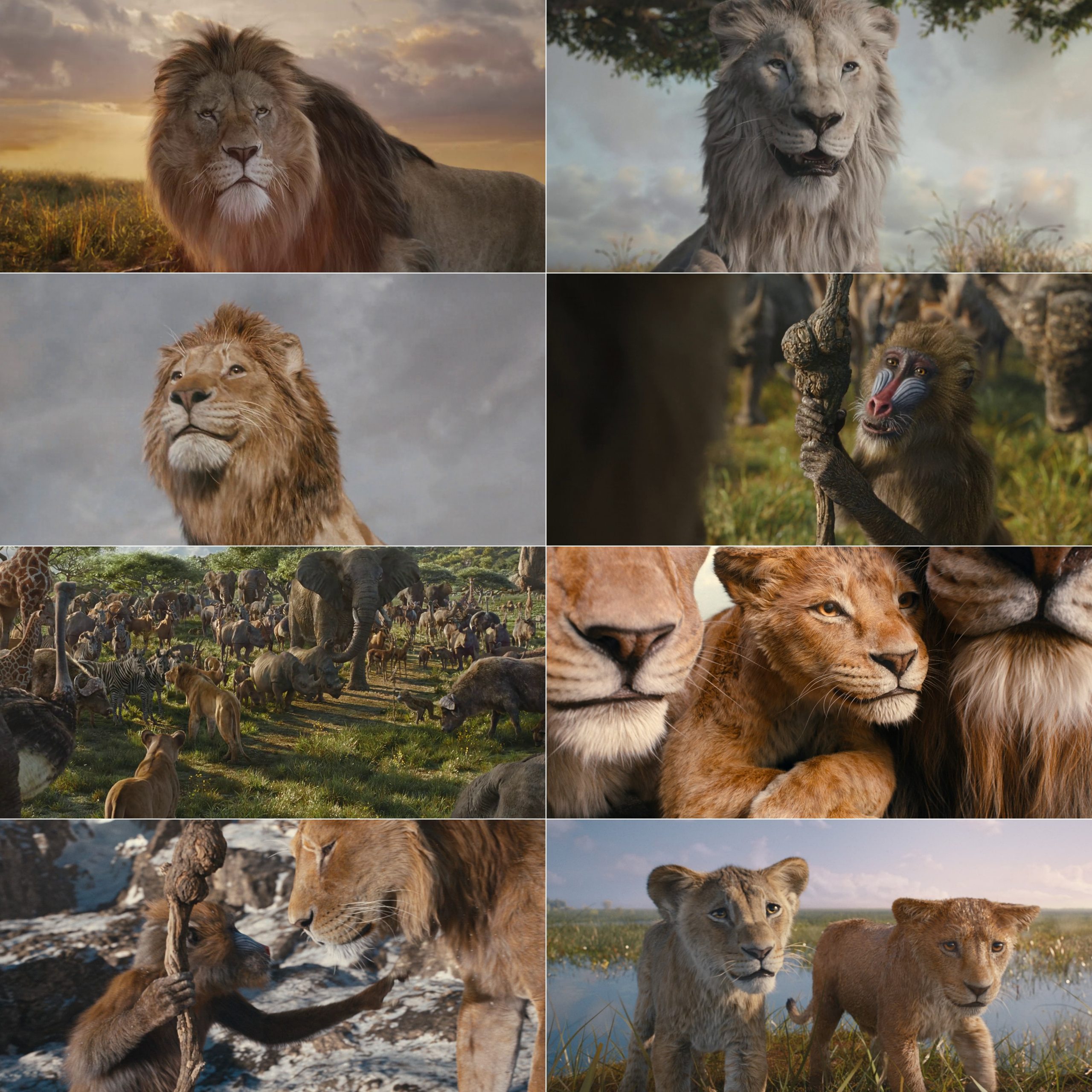 Mufasa - The Lion King (2024) (Hindi + English) Dual Audio Hollywood Movie HD ESub Screenshot