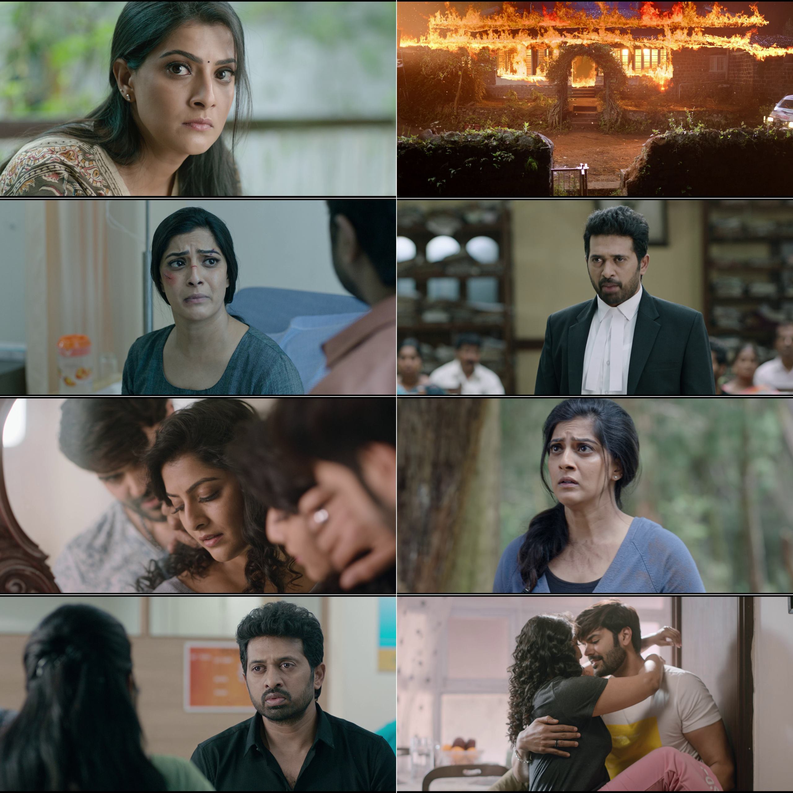 Sabari (2024) (Hindi + Telugu) Dual Audio UnCut South Movie HD ESub Screenshot