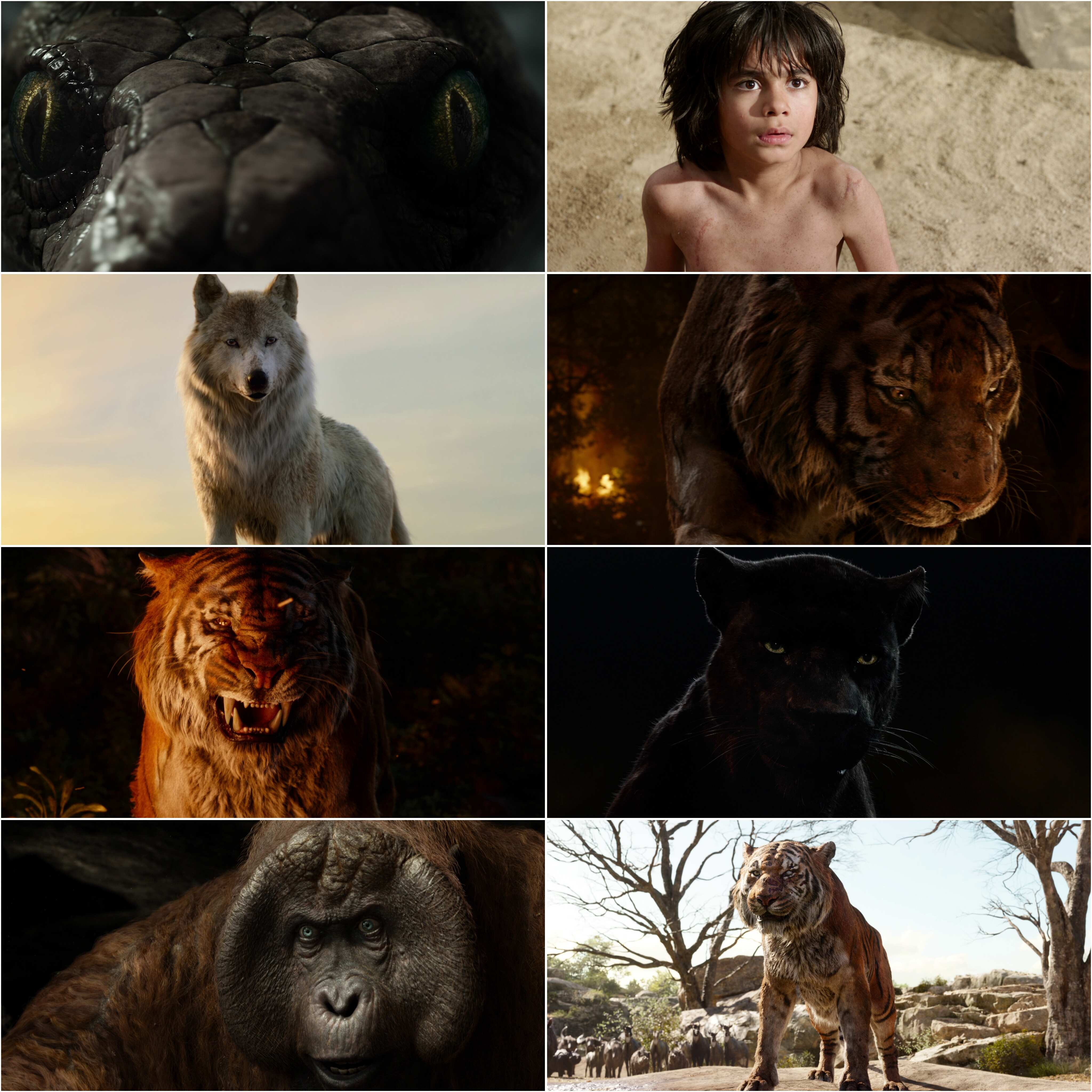 The Jungle Book (2016) (Hindi + English) Dual Audio Hollywood Movie BluRay HD ESub Screenshot