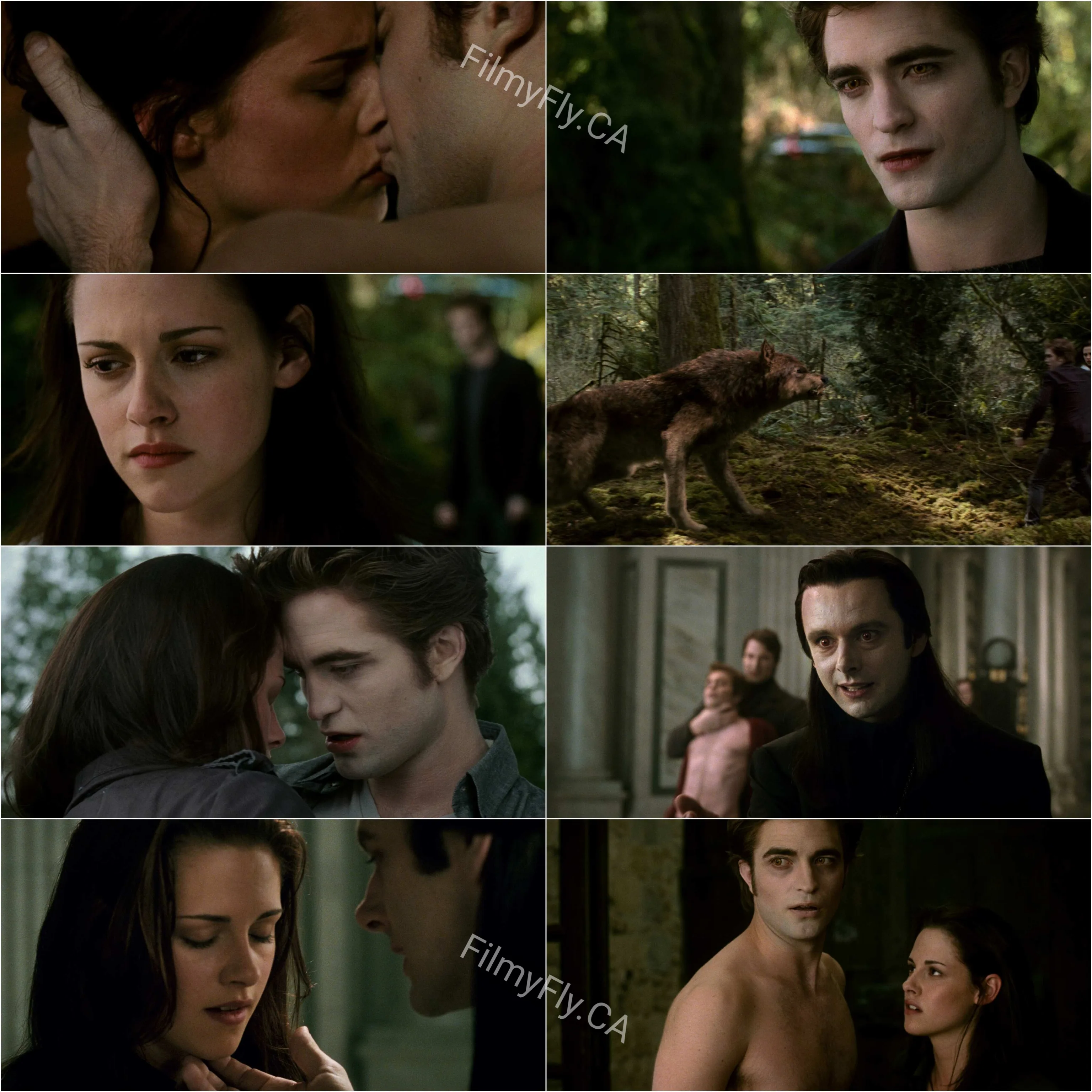 The Twilight Saga - New Moon (2009) (Hindi + English) Dual Audio Hollywood Movie HD ESub Screenshot